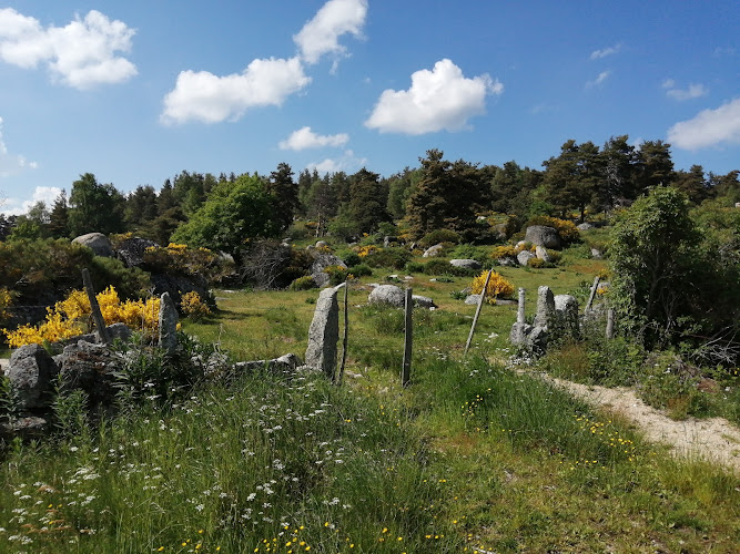 Saint-Denis-en-Margeride à Saint-Denis-en-Margeride