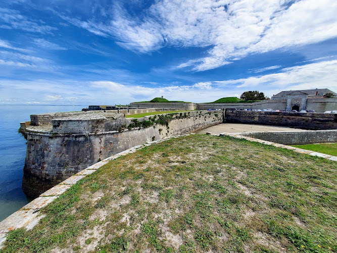 Ile De Ré à Sainte-Marie-de-Ré