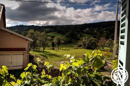 La Vigne à CHARIX