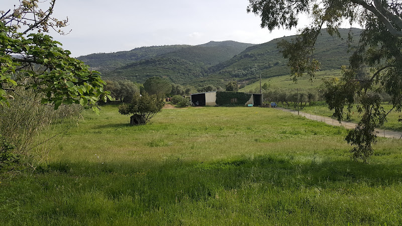 Domaine de Campu à Vallecalle
