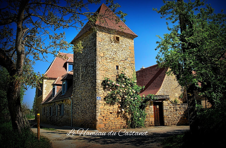 Le Hameau du Castanet à Tamniès