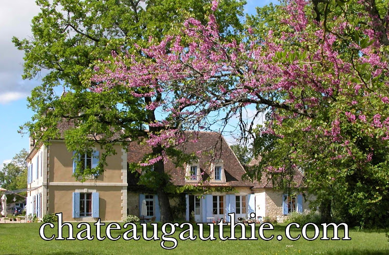Chateau Gauthie chambres d hôtes à Issigeac