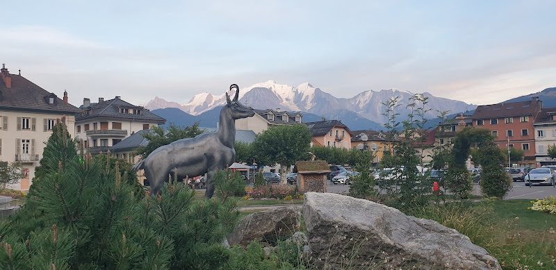 Hôtel du Mont Blanc à Sallanches