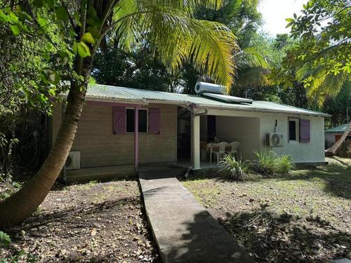 Nenuphar à Sainte Anne