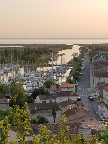 Cottages and farm camping à Mortagne-sur-Gironde