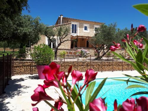 L'oliveraie à Gordes