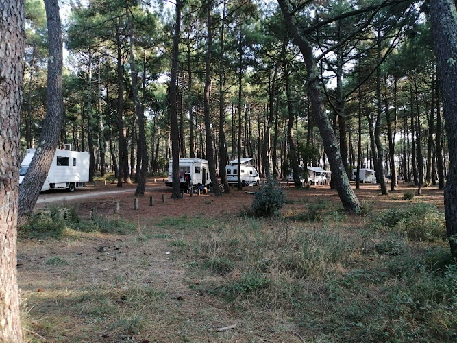 Mayor - aid station Vivier à Biscarrosse