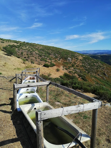 Aire Naturelle de L aigoual à Bassurels