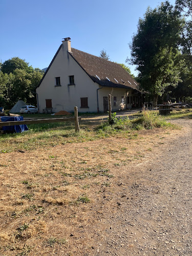 Camping Puy Mary à Mandailles-Saint-Julien