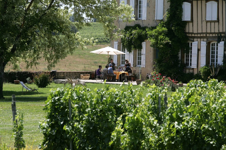 Earl Domaine du Have à Sainte-Christie-d'Armagnac