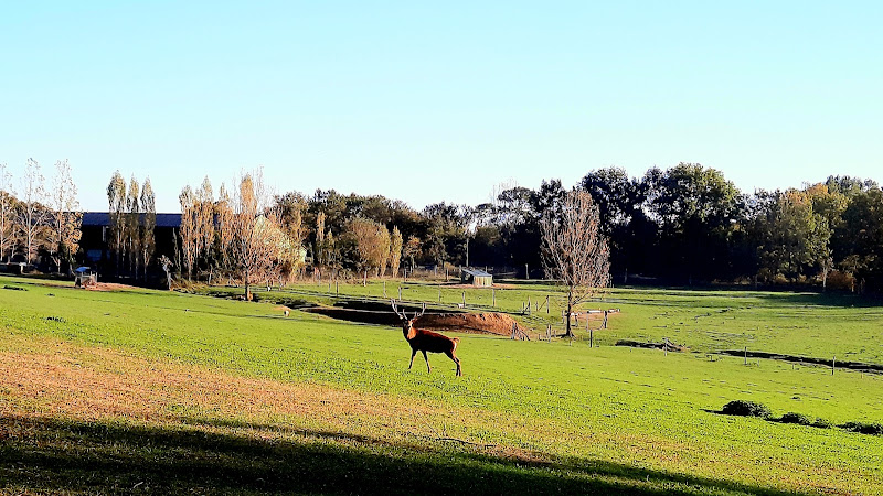 La Ferme aux Cerfs à Le Houga