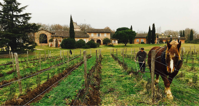La Colombière à Villaudric