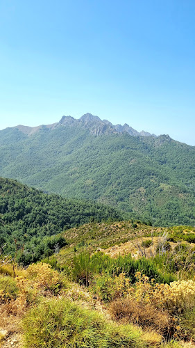 20119 Bastelica à Bastelica