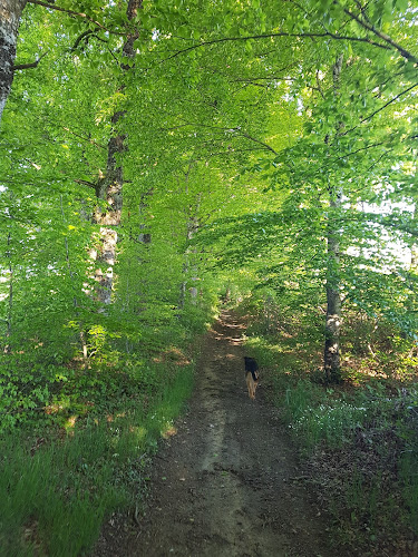 Sainte-Juliette-sur-Viaur