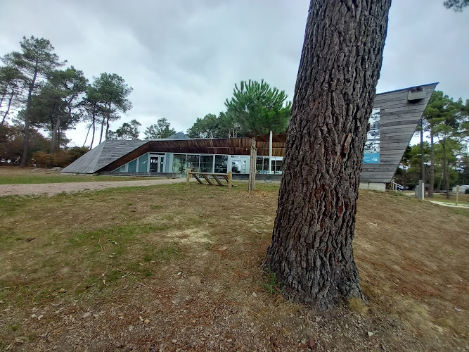 Camping et Gîtes à Iffendic