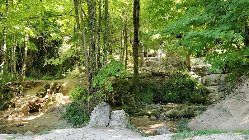 La Guinguette des Cascades à Roquefort-les-Cascades