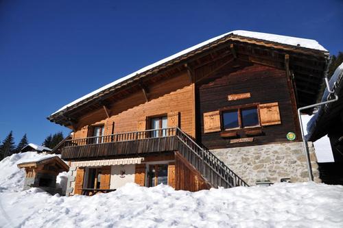Bergeronnette à La Clusaz