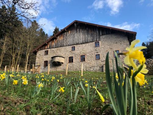 Gîte à la ferme à Sapois
