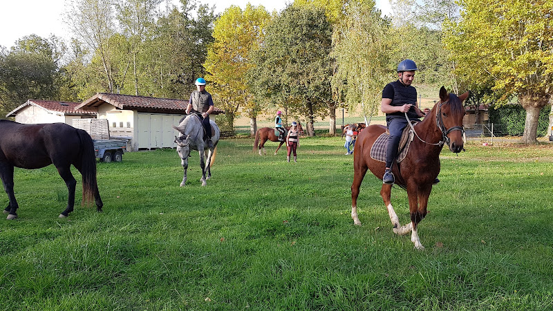 Camping du Bouès à Marciac