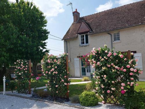 Le Clos des Noëls
