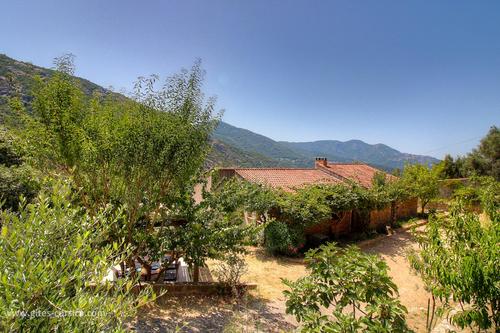 La Cardiccia