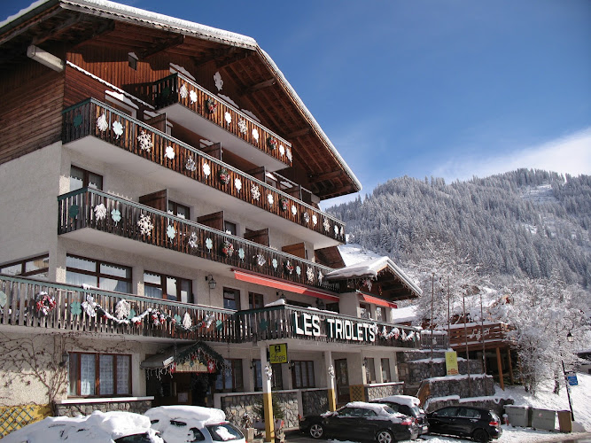 Hôtel les Triolets à Chtel