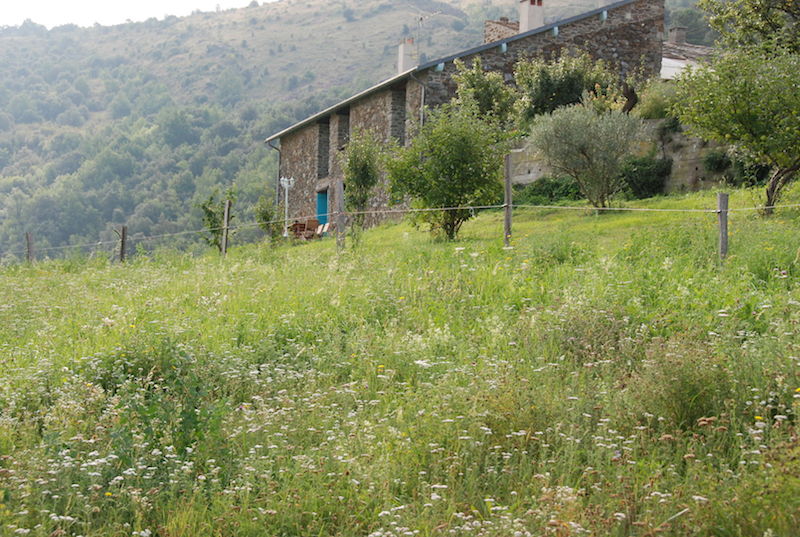 Gîte La Pastorale Souanyas à Souanyas