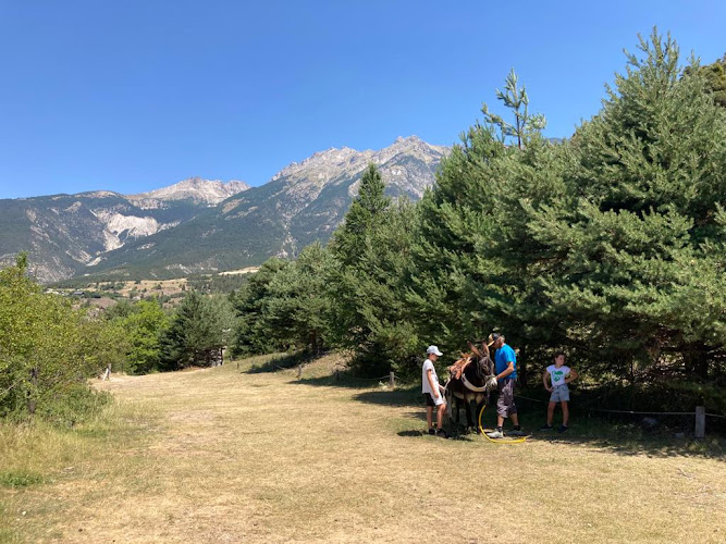 Coreane à Eygliers