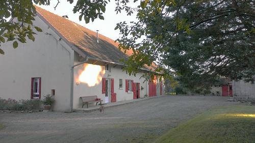 Les cinq roses à Desnes