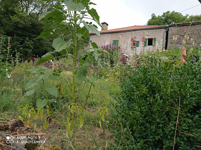 Vifs à Saint-Étienne-de-Lugdarès
