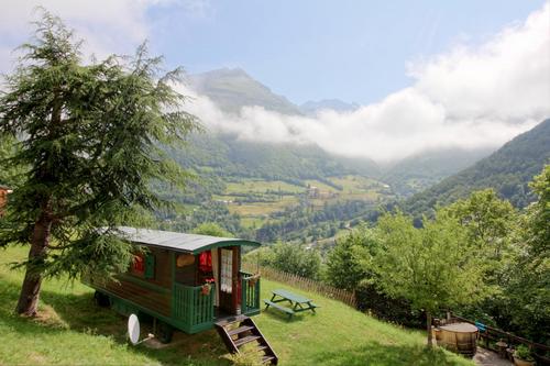 Rhododendron à Gavarnie Gedre