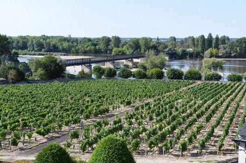Gîte Loire et Vignoble à POUILLY-SUR-LOIRE