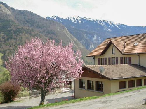 Gîte les Hermones à Vailly