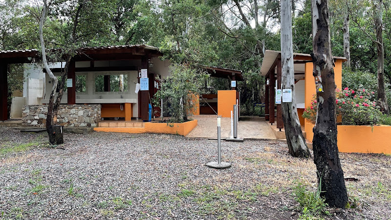 Camping Les Eucalyptus à Linguizzetta