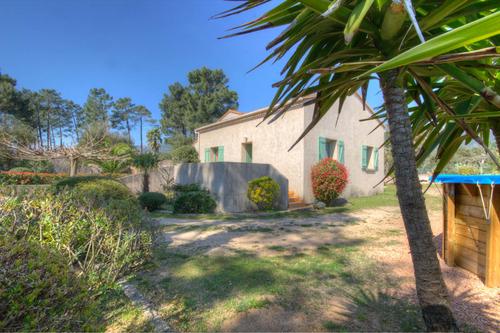 Le murier à San Gavino Di Carbini