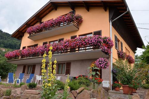 Kirsch à Thannenkirch