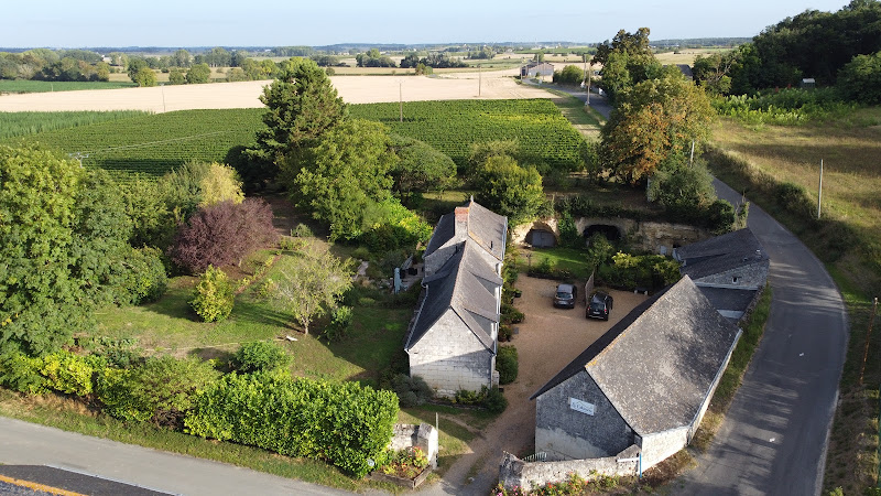 La Cotinière à Gennes-Val-de-Loire