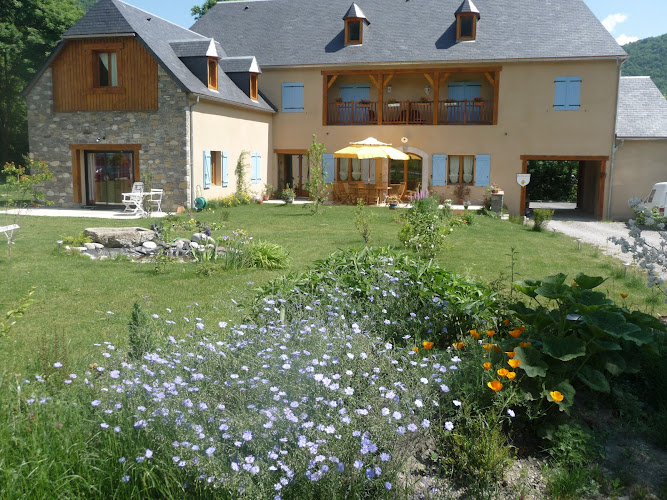 Les Hélianthèmes à Guchen