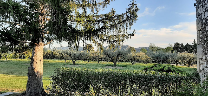 Gite du Mas in Eygalières Bouisseau à Eygalières