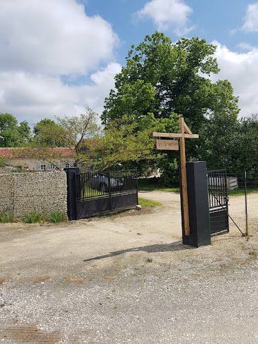 Les Nénuphars à Saint-Martial-Viveyrol