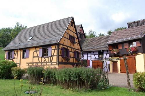Cigogne à Hunawihr