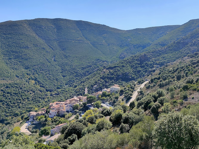 Palasca à Palasca