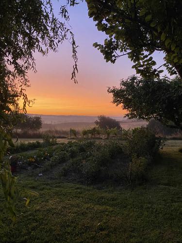 La Vinatière à MONTDURAUSSE