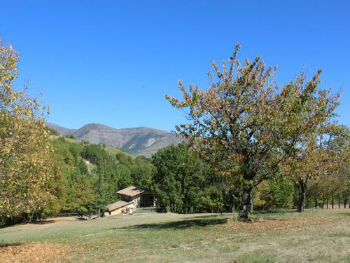 La Bergerie à CHAMPTERCIER