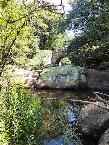 Le Soulié