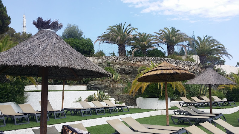 Les Pins Parasols à Fréjus
