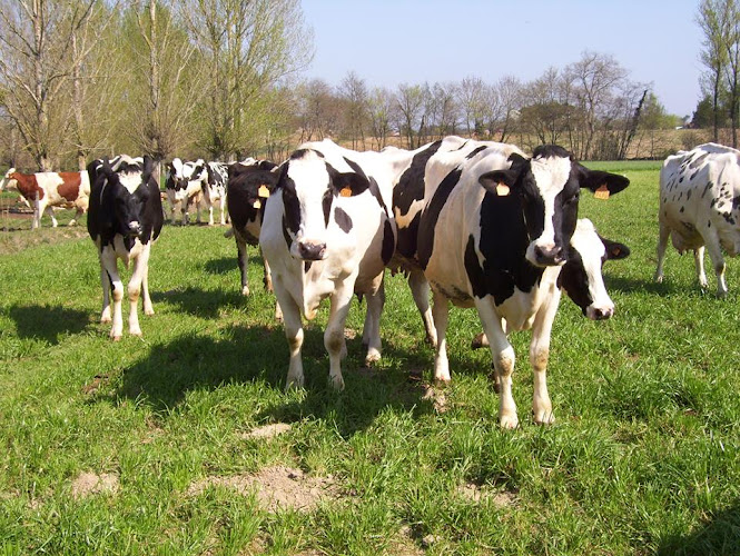 Ferme de Cantegril à Villematier