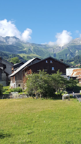 La Vigogne à Les Avanchers-Valmorel