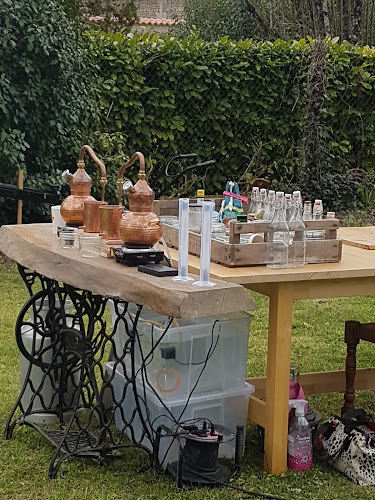 Le Petit Verger Gîte à Bonnes
