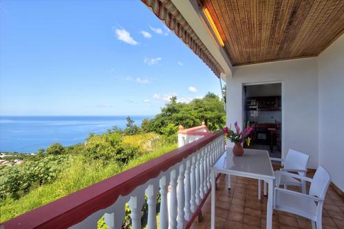 Alpinia à Bouillante